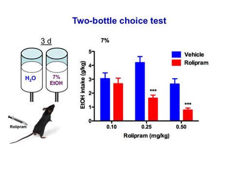 2 bottle alcohol preference testing